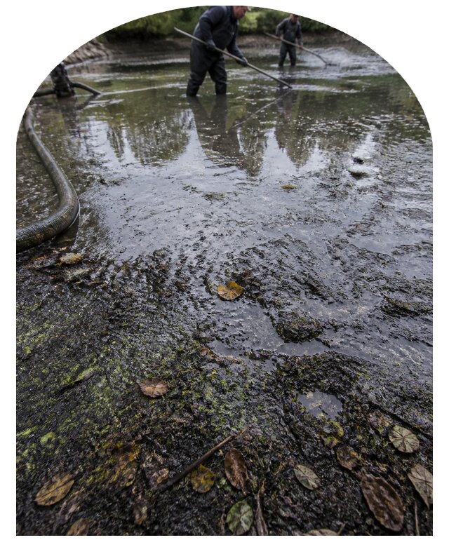 Очистка пруда в Кунгуре от ила мусора и водорослей с вывозом